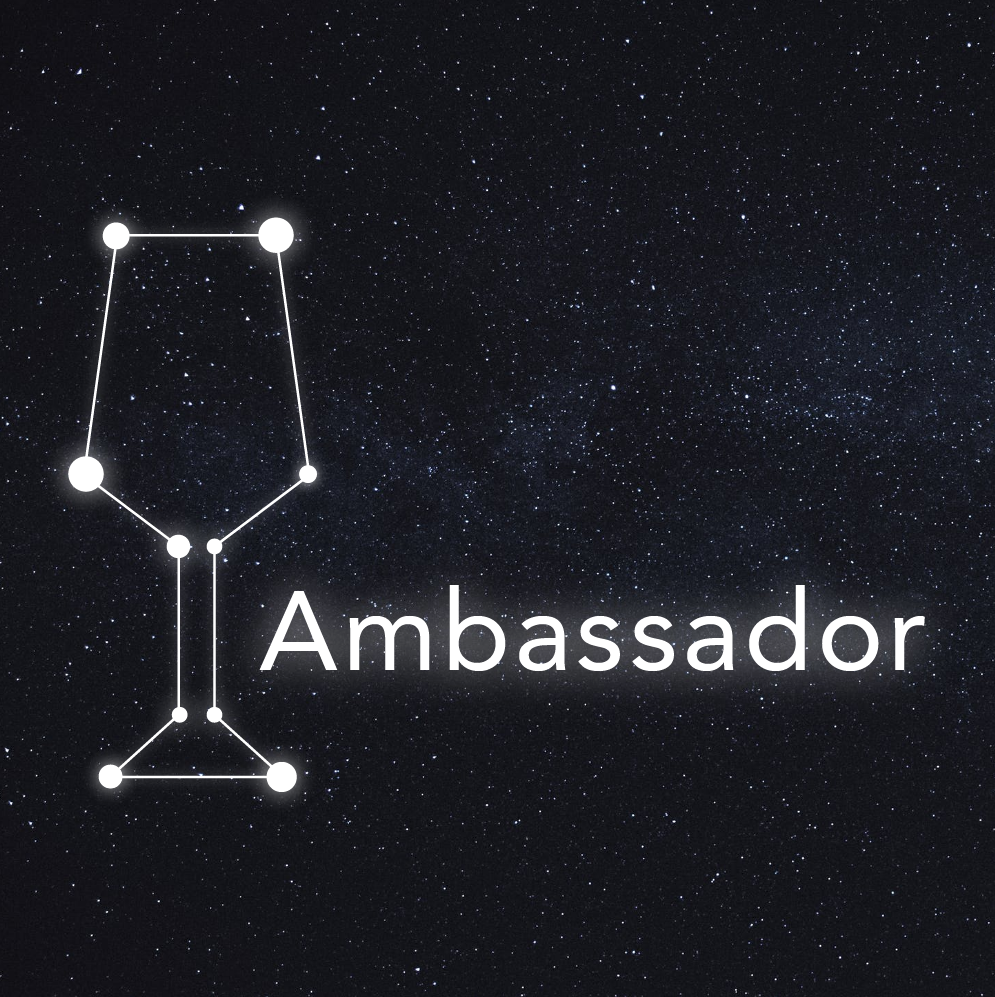 Constellation Logo with Text