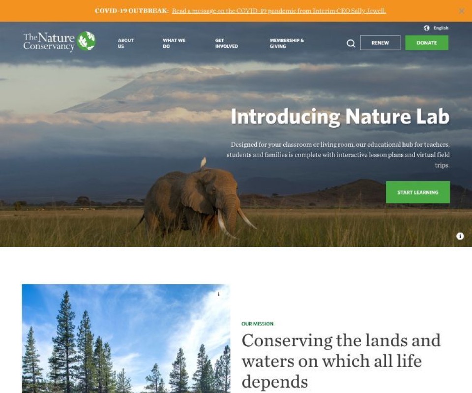 Nature Conservancy homepage